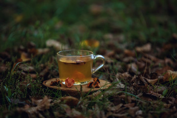 a Cup of tea on autumn yellow and brown leaves