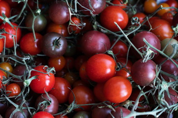 Red and yellow cherry tomatoes close-up on the table