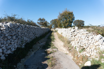Sentiero di campagna