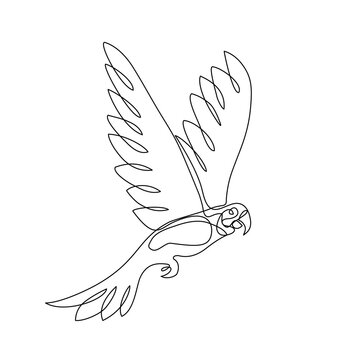 recommend clip art: Continuous line drawing. Parrot bird. illustration