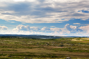 Tundra landscape in the north of Russia
