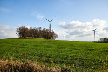 wind turbines in field