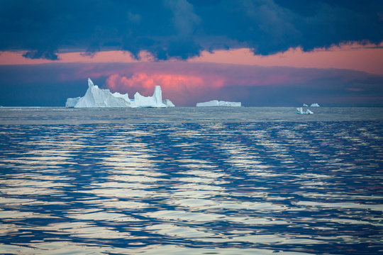 Icebergs In The Drake Passage - Antarctica