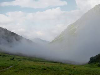 Foggy gorge; clouds floating between mountain ranges; trekking route in nature terrain; mountain trail through mist, Bzerpinskiy karniz, Russia