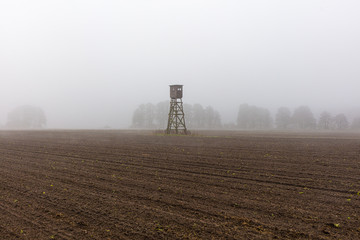 Hochsitz, Jagdsaison, erstes Morgenlicht, herbst, nebel, Ansitz, Landwirtschaft, Revier, acker