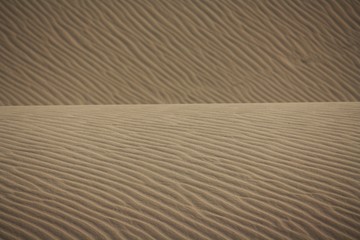 Sand dunes in the desert