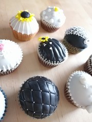 cupcakes on white background