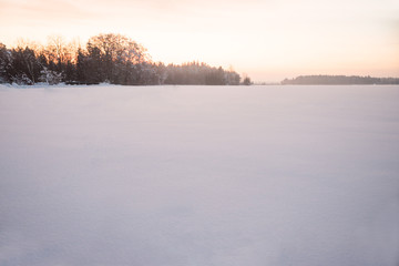 foggy winter morning landscape with snow field