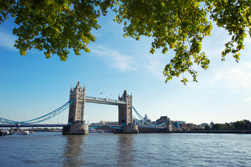 Tower Bridge crosses the River Thames framed by summery green trees hanging in bright blue sky in London, UK