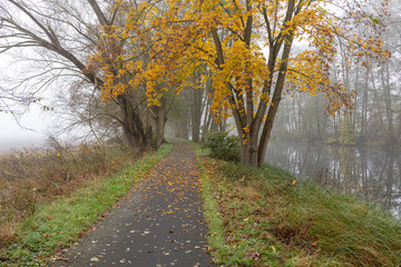 Brandenburg, Barnim, Wanderweg, Zerpenschleuse, Herbst, Nebel, Finow, Finowkanal, Herbstnebel, Nebelwetter