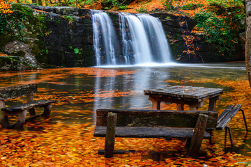 Fototapeta premium Waterfall and autumn landscape