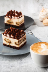 Tiramisu - Classical dessert with mascarpone and coffee. Delicious Tiramisu cake on a darck plate on a light marble background. Vertical photo.
