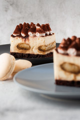 Tiramisu - Classical dessert with mascarpone and coffee. Delicious Tiramisu cake on a darck plate on a light marble background. Vertical photo.