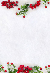 Christmas decoration. Red berries on twigs and apple on snow with space for text. Top view, flat lay