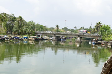 Fototapeta premium cheepunkal 