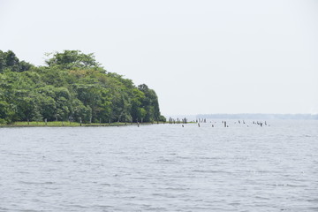 vembanadu lake and paathiramnal
