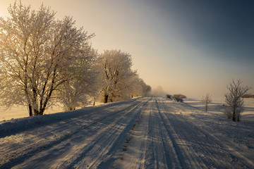 Road along the snowy trees against the backdrop of sun rays. Winter landscape