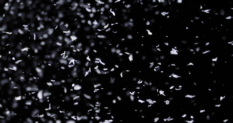 Falling real snowflakes, heavy snow, shot on a black background, frosted, wide-angle, insulated, ideal for digital composition, post-production
