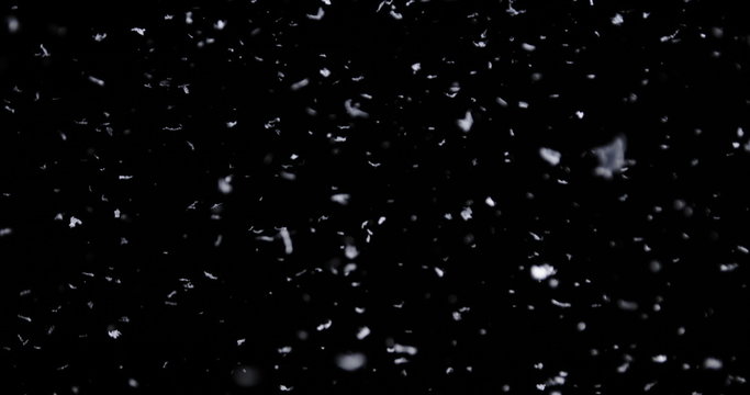 Falling real snowflakes, heavy snow, shot on a black background, frosted, wide-angle, insulated, ideal for digital composition, post-production