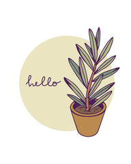 Hand drawn houseplant on a white background. Vector image for creative design of posters, cards, banners, invitations, etc.