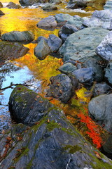 奥祖谷　水面に映る紅葉(徳島県）