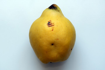 Big organic quince on a white background