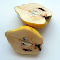 Big organic quince and quince sliced with worm on a white background