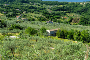Landscape in Ciociaria at summer