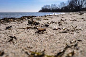 Naturstrand, Zudar, Insel Rügen