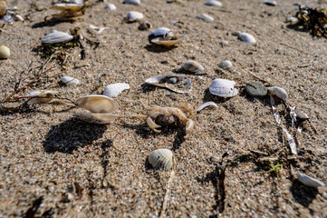 Naturstrand, Zudar, Insel Rügen