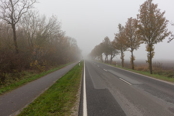 Fototapeta na wymiar Einsame Landstrasse im Nebel, Herbst,Herbstmorgen