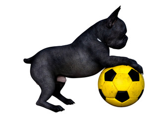 3D Rendering French Bulldog on White