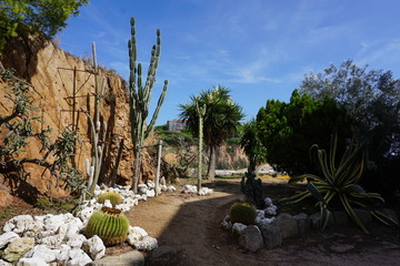Sant Feliu de Guíxols - cactus garden seen during the walk along the coastline path