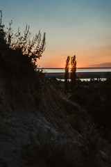 silhouette of man walking on beach at sunset