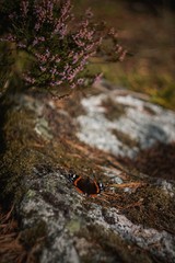 Processed with VSCO with av4 preset