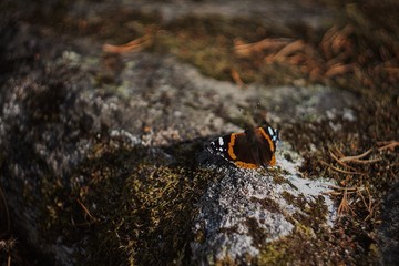 Processed with VSCO with av4 preset