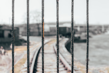 fence in winter