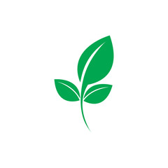 Obraz premium green leaf ecology nature element vector