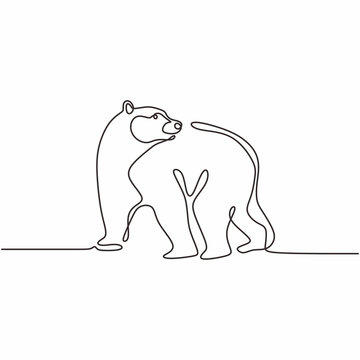 Continuous single line drawing of bear wild animals vector illustration. One hand drawn winter animal mascot minimalism of polar bears.