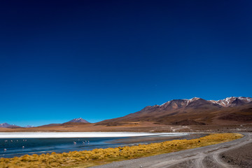 Within the volcanic desert, a rocky dirt road wraps around the dry grassy edge of Laguna Colorada where flamingos gather under the sunny blue sky.