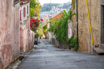 Madeira steep street, Fuchal, Madeira, Portugal, Europe
