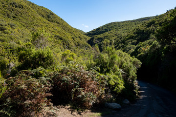 Mountains near Levada Do Risco, PR6, from Rabacal Madeira, Portugal, Europe