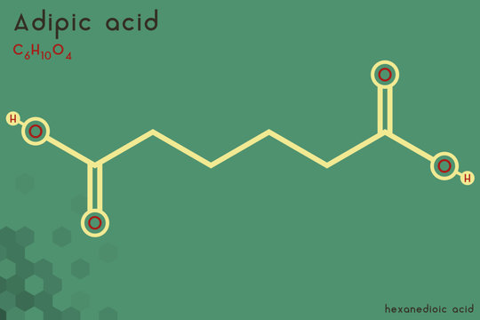 Large and detailed infographic of the molecule of Adipic acid