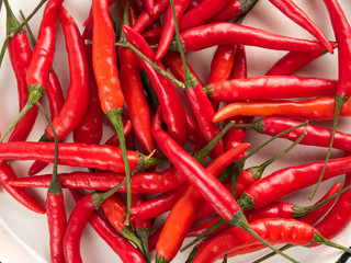 Top view of hot chili pepper on white background
