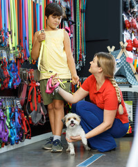 Smiling family choosing accessories for dog