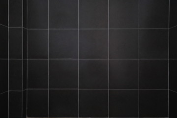 black tile wall in bathroom