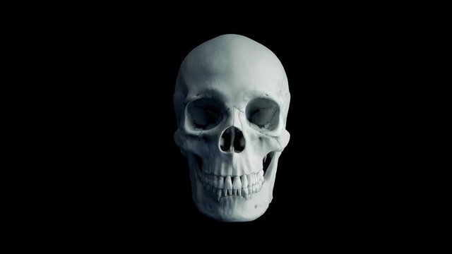 Human Skull Eats Up Viewer POV