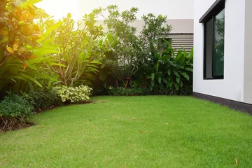 Fotobehang Tuin gazonaanleg met groen grasgras in tuinhuis