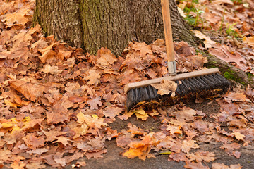 Obraz premium Peaceful scenery with a wooden broom leaning against a tree while having a break from sweeping away the fallen autumn foliage an the asphalt. Seen in Bavaria, Germany in November.