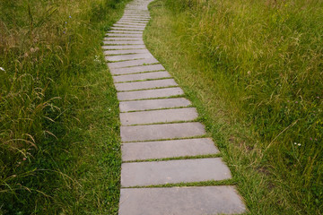Fototapeta na wymiar Concrete walkway in the park on green grass